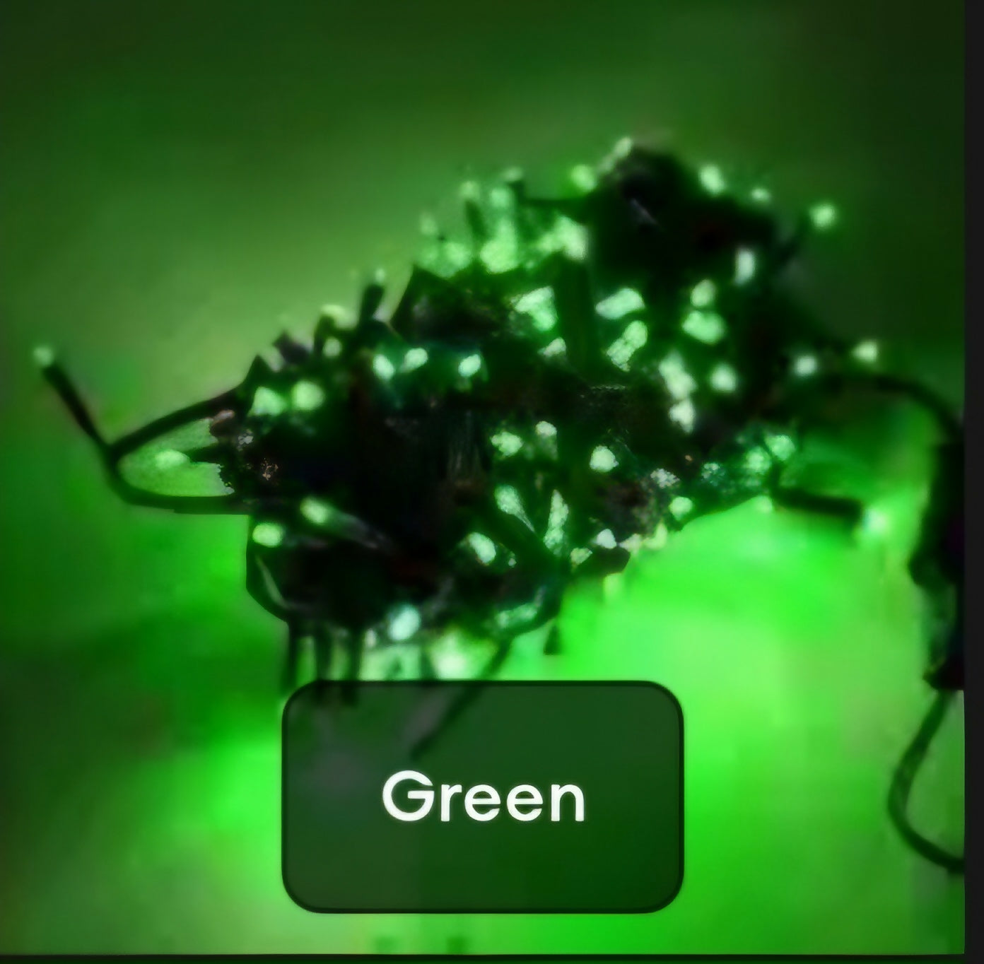 100 pcs LED small lights